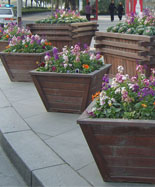 防腐木室外單個花盆HT-HX170