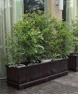 ���a(ch��n)С�^(q��)����ľ����HT-HX1060