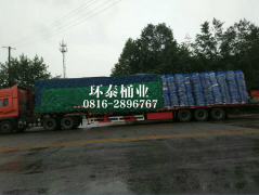 �h(hu��n)�l(w��i)��܇(ch��)?y��n)���Ͱ�S(ch��ng)�� �������T(m��n)�l(xi��ng)�(zh��n)�坍�h(hu��n)��