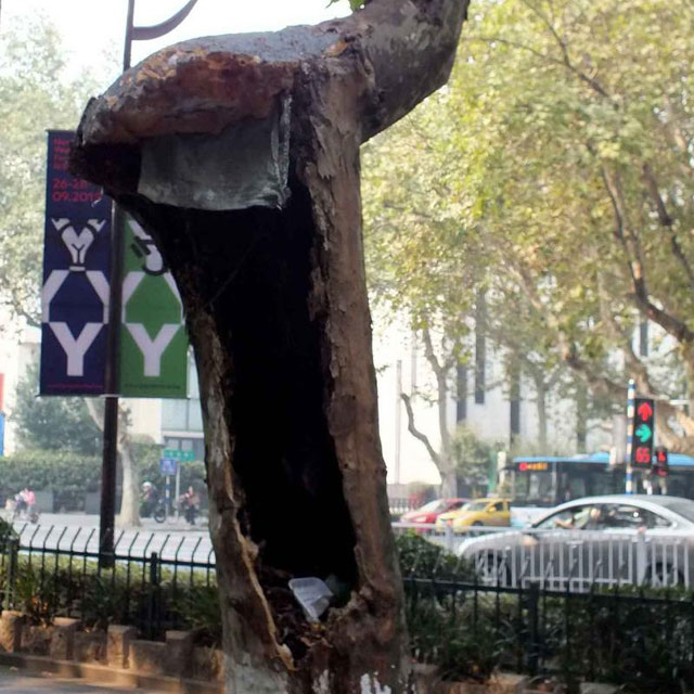 ��ͩ��S��������Ӱ����ݴ��ڰ�ȫ�[��