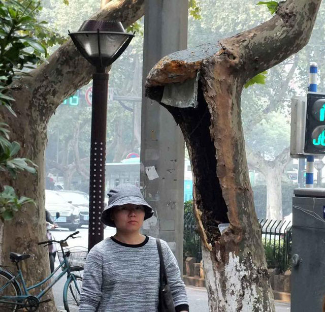 ��ͩ��S��������Ӱ����ݴ��ڰ�ȫ�[��